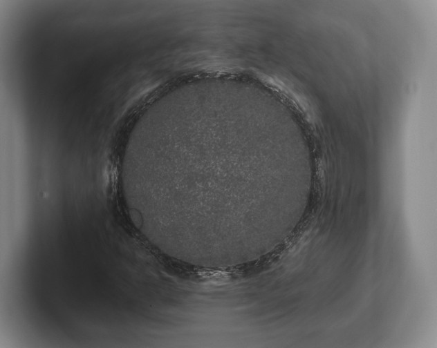 X0000102401302200808081256