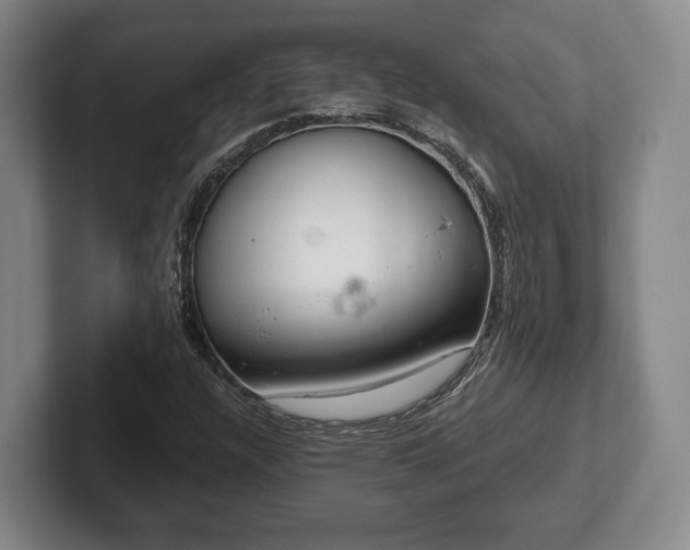 X0000102401304200808081256