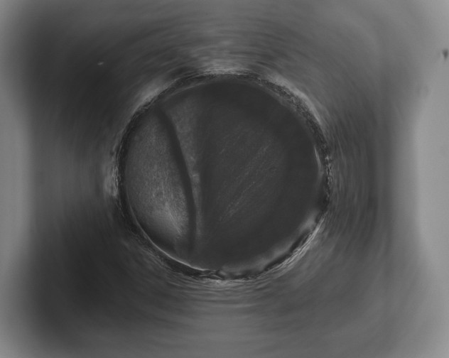 X0000102401306200808081256