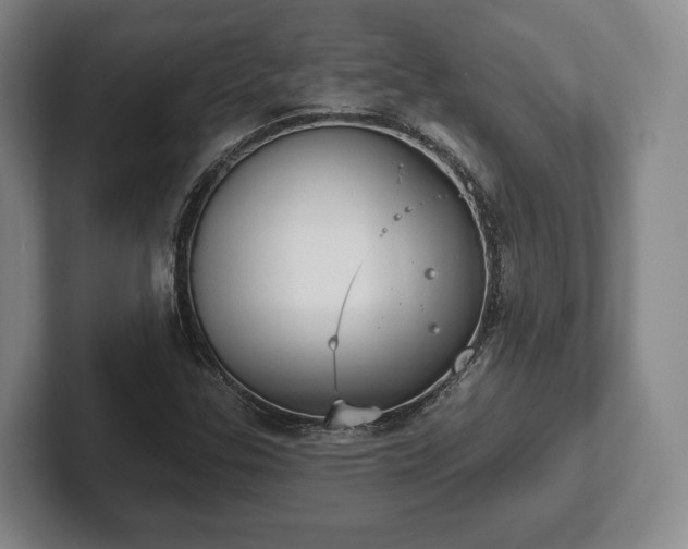 X0000102401307200808081256