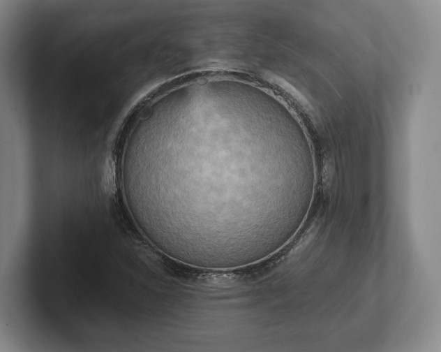 X0000102401310200808081256