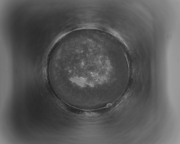 X0000102401312200808081256