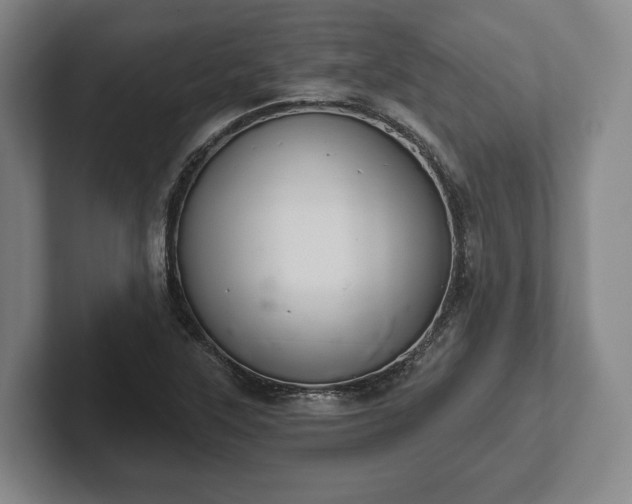 X0000102401315200808081256