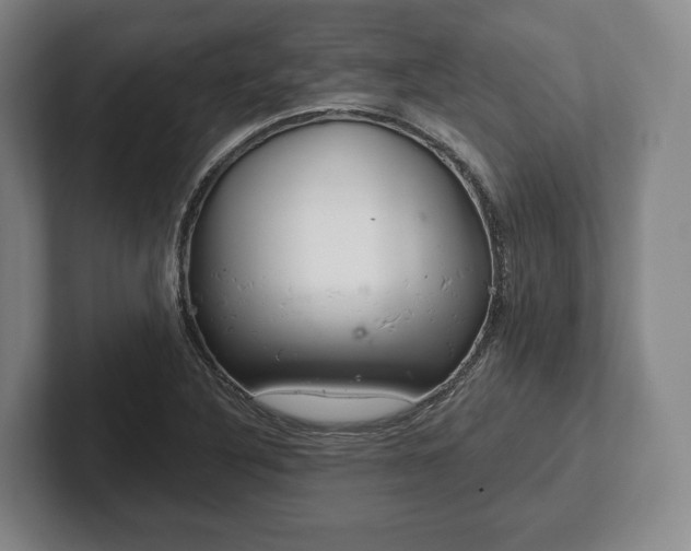 X0000102401316200808081256