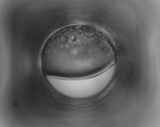 X0000102401318200808081256