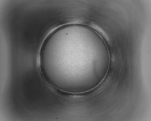 X0000102401324200808081257