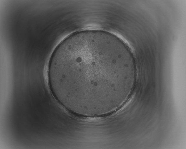 X0000102401325200808081257