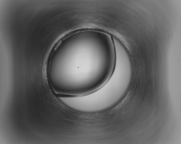 X0000102401326200808081257