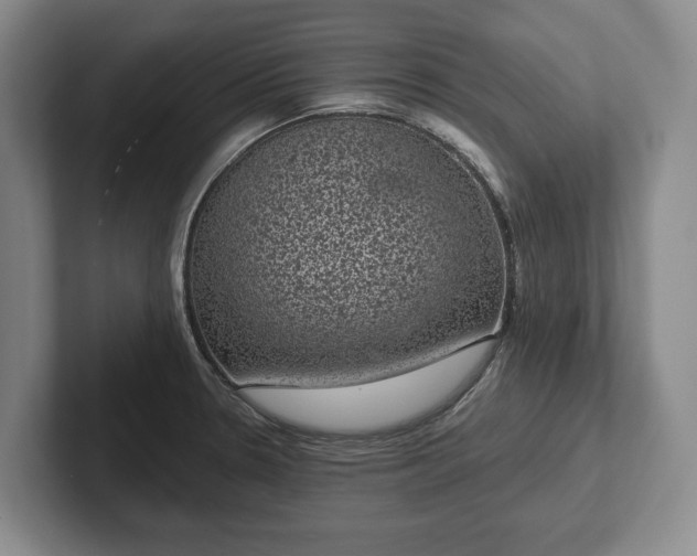 X0000102401330200808081257