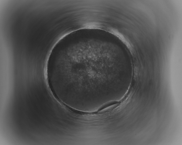 X0000102401331200808081257