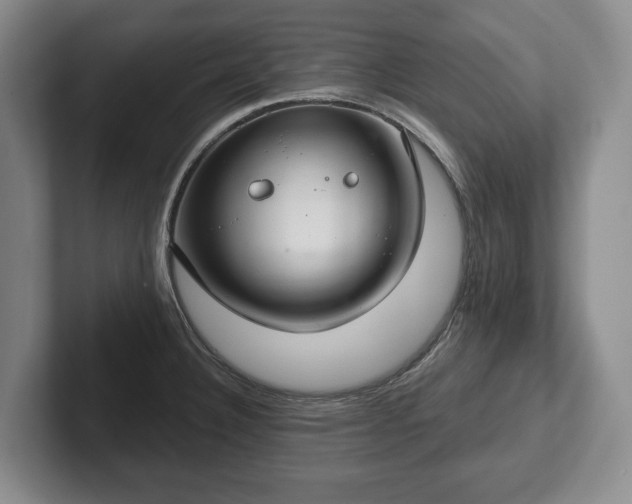 X0000102401332200808081257