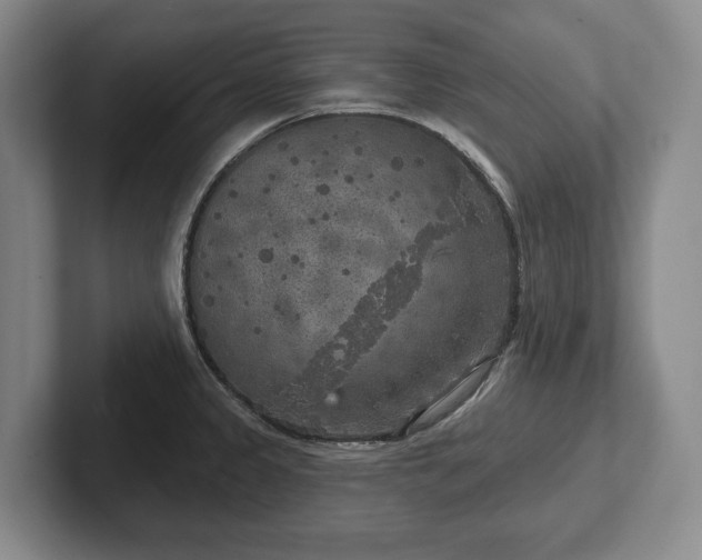 X0000102401333200808081257