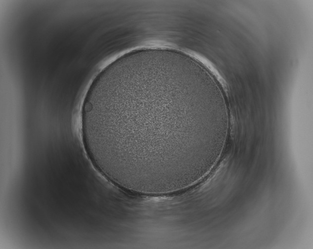 X0000102401335200808081257