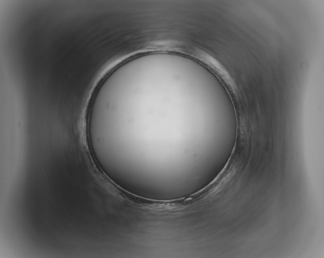 X0000102401336200808081257