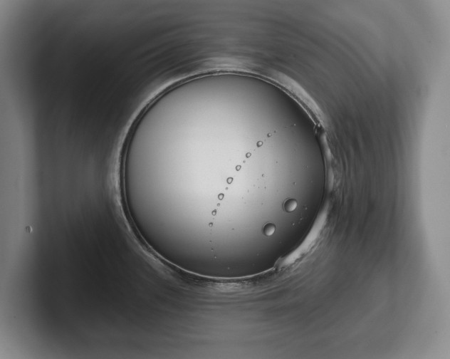 X0000102401339200808081257