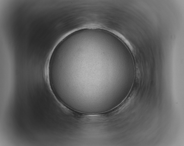 X0000102401343200808081257