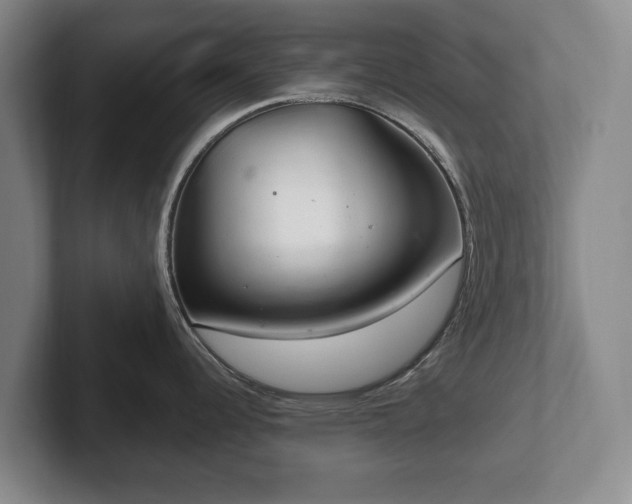 X0000102401344200808081257