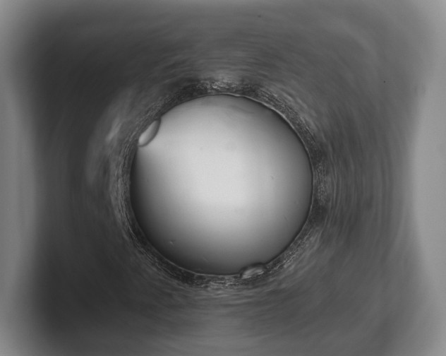 X0000102401345200808081256