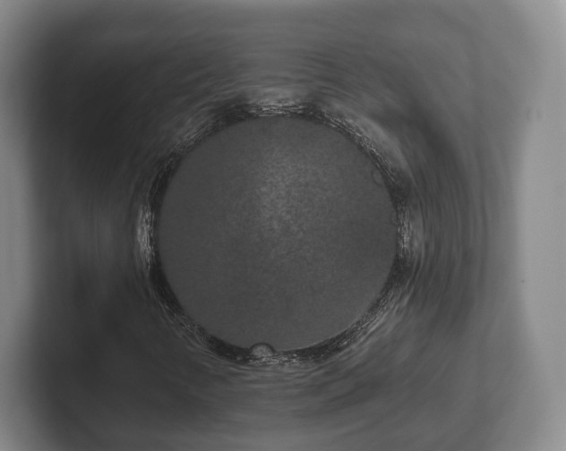 X0000102401346200808081256