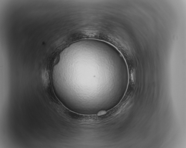 X0000102401347200808081256