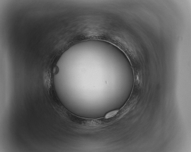 X0000102401348200808081256