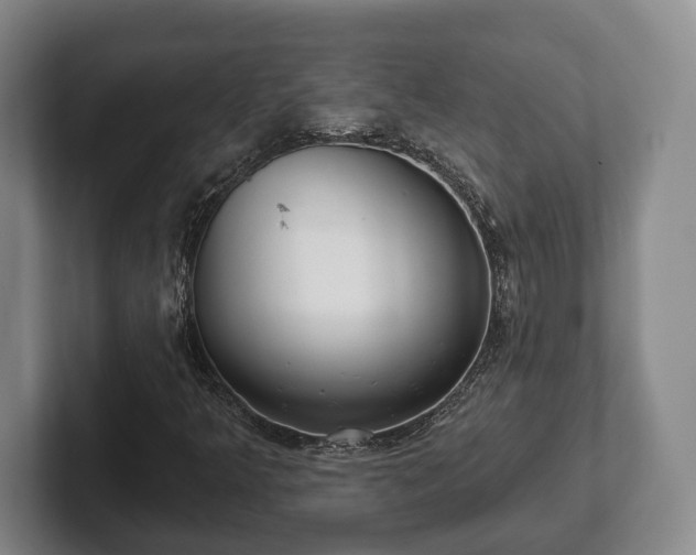 X0000102401349200808081256