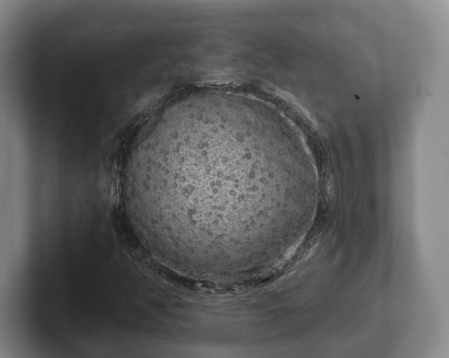 X0000102401350200808081256