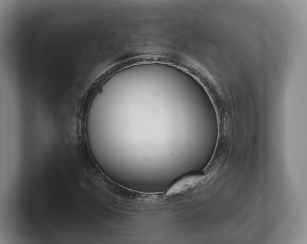 X0000102401352200808081256