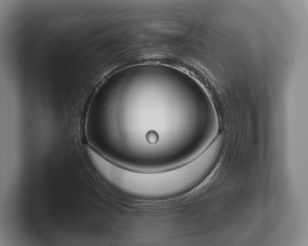 X0000102401353200808081256