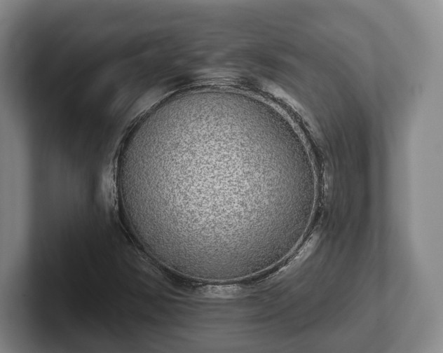 X0000102401354200808081256