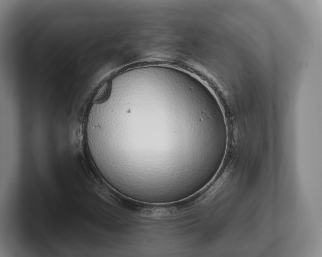 X0000102401355200808081256