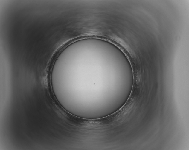 X0000102401356200808081256