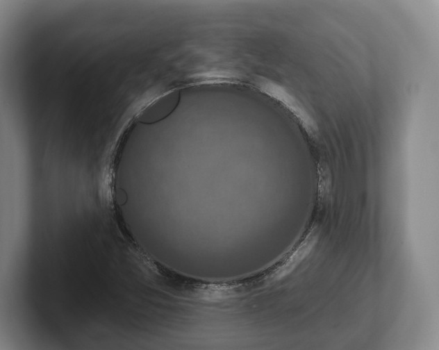 X0000102401357200808081256