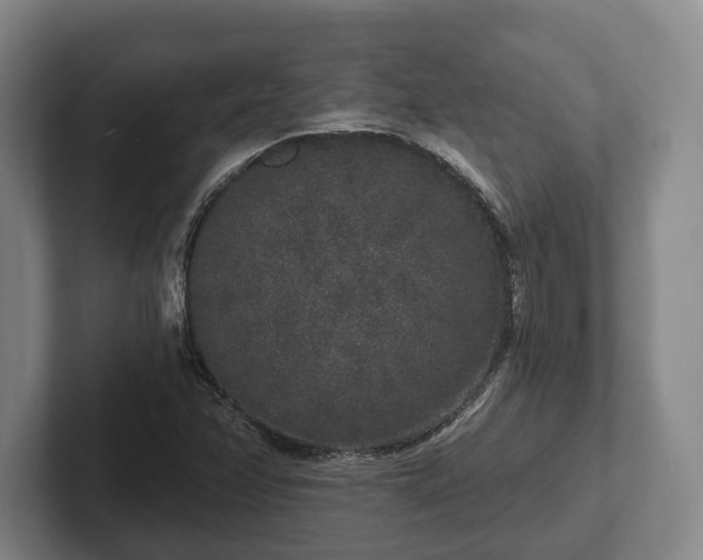 X0000102401358200808081256