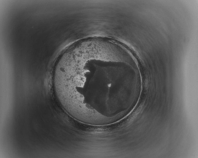 X0000102401359200808081256