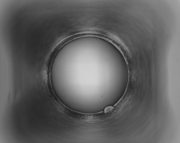 X0000102401360200808081256