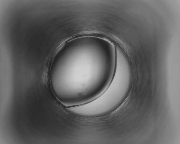 X0000102401361200808081256