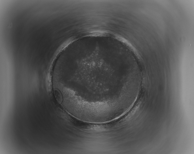 X0000102401362200808081256