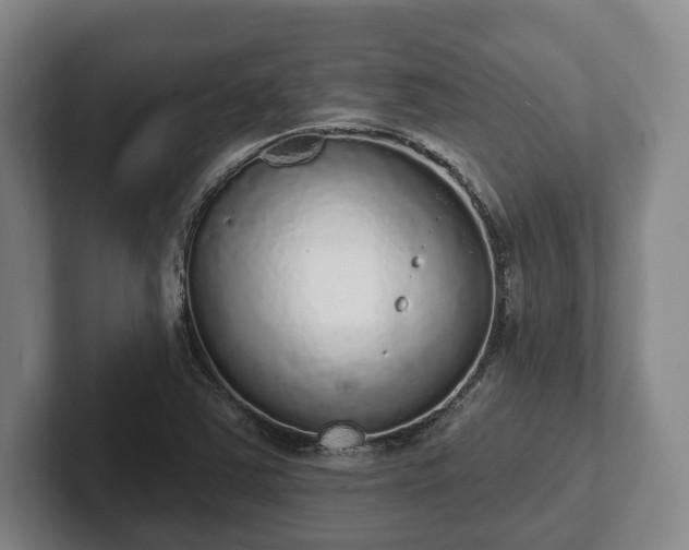 X0000102401363200808081256