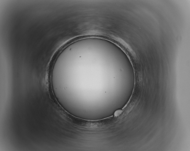 X0000102401364200808081256