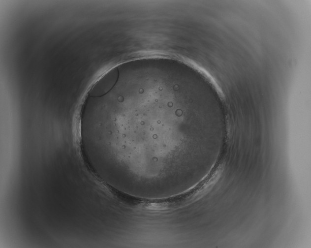 X0000102401365200808081256