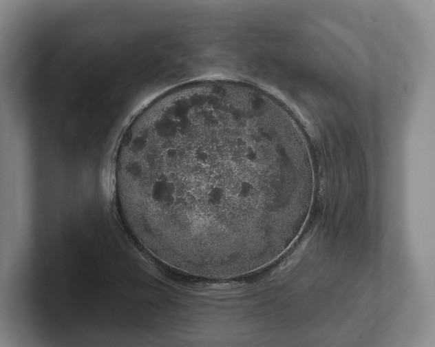 X0000102401367200808081256