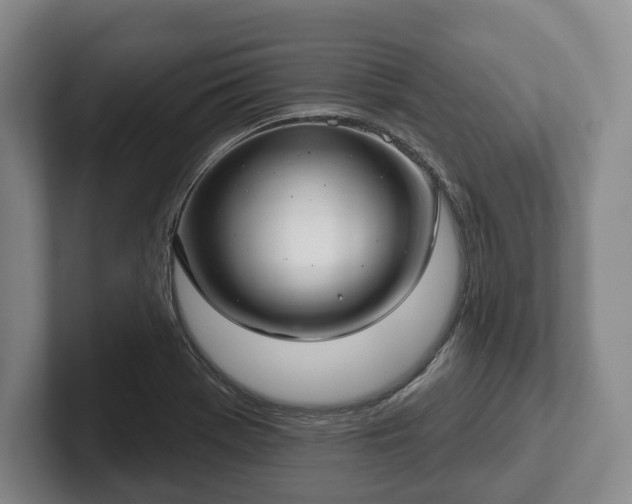 X0000102401369200808081256