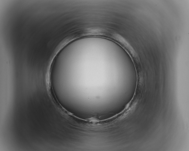 X0000102401370200808081256