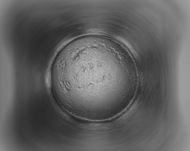 X0000102401371200808081256