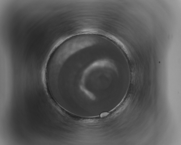 X0000102401373200808081255