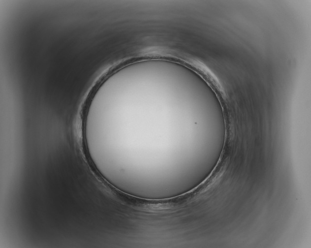 X0000102401376200808081255