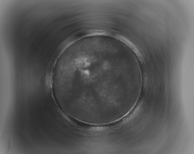 X0000102401377200808081255