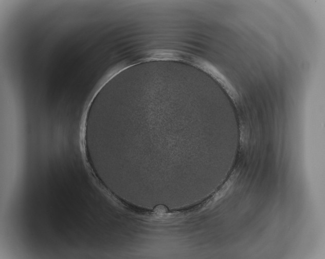 X0000102401378200808081255