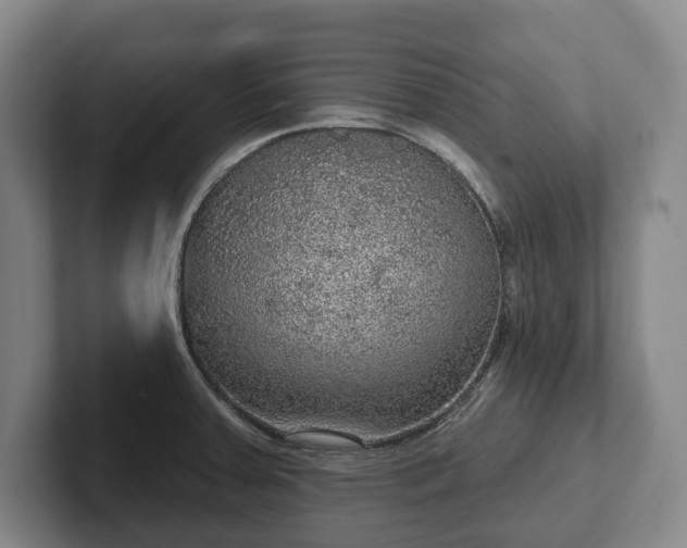 X0000102401379200808081255